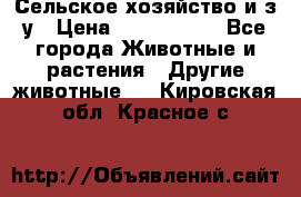 Сельское хозяйство и з/у › Цена ­ 2 500 000 - Все города Животные и растения » Другие животные   . Кировская обл.,Красное с.